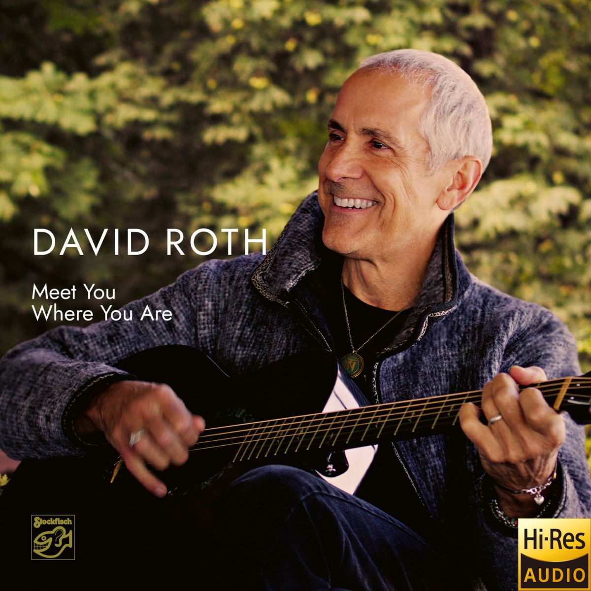 David Roth - Meet You Where You Are (24bit-88.2kHz)