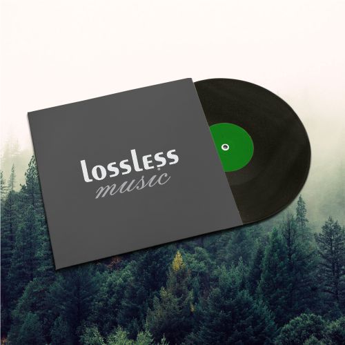 Download nhạc lossless 