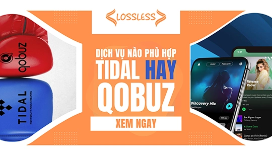 Tidal và Qobuz đâu là dịch vụ phù hợp cho từng thể loại nhạc và phong cách nghe của bạn? 