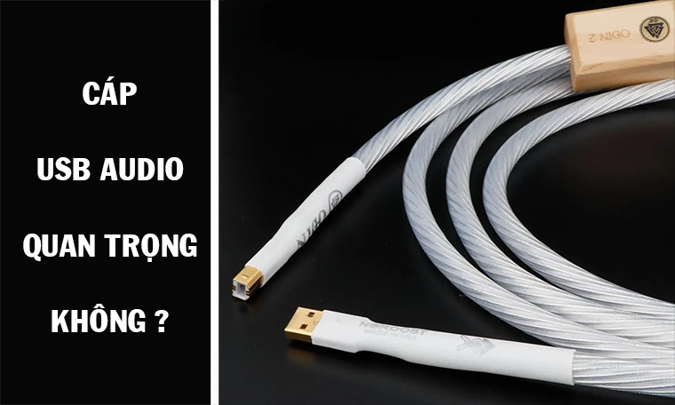 Tầm Quan Trọng của Sợi Cáp USB Audio Type A to B và Những Điều Cần Biết