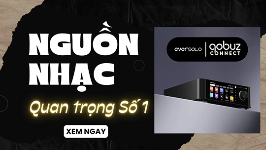 Nguồn Nhạc: Yếu Tố Quan Trọng Bậc Nhất Quyết Định Chất Lượng Của Một Hệ Thống Nghe Nhạc
