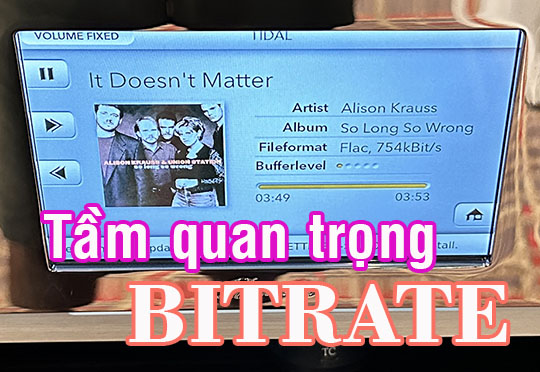 "Sức Mạnh Bí Ẩn của Bitrate: Tìm hiểu sự quan trọng của Bitrate trong các file nhạc số