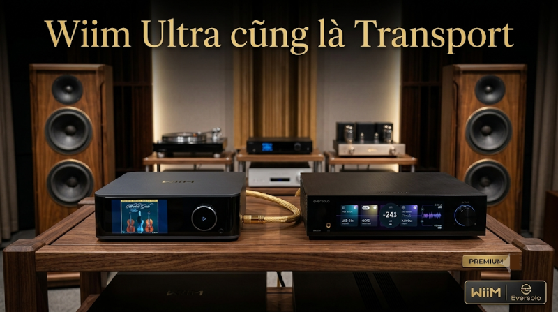 WiiM Ultra Làm Transport Cho DAC Rời, Endpoint Roon Ready Thay Thế PC