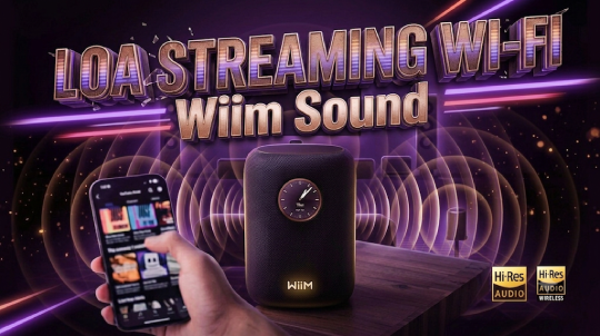 WiiM Sound - Loa Streaming Hi-Res Hỗ Trợ Roon Ready, Wi-Fi 6E Chính Hãng