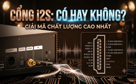 Những Lưu Ý Khi Dùng Cổng I2S Phát Nhạc Lossless: Chọn Cáp, Chọn Pinout Sao Cho Đúng