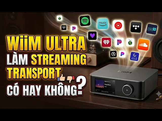WiiM Ultra Làm Streaming Transport Có Hay Không? Hướng Dẫn Kết Nối USB Out Cho DAC Rời