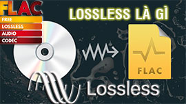 Nhạc Lossless là gì? Nhạc Lossless không nén và Lossy khác nhau không?