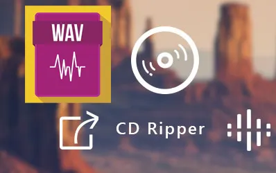 Chinh phục chất lượng âm thanh hoàn hảo: Đĩa CD và file nhạc WAV không nén từ đĩa CD gốc - Thông số kỹ thuật và bí quyết
