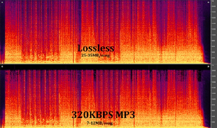 Tìm Hiểu Về Kho Nhạc Lossless Việt Nam và Sự Khác Biệt