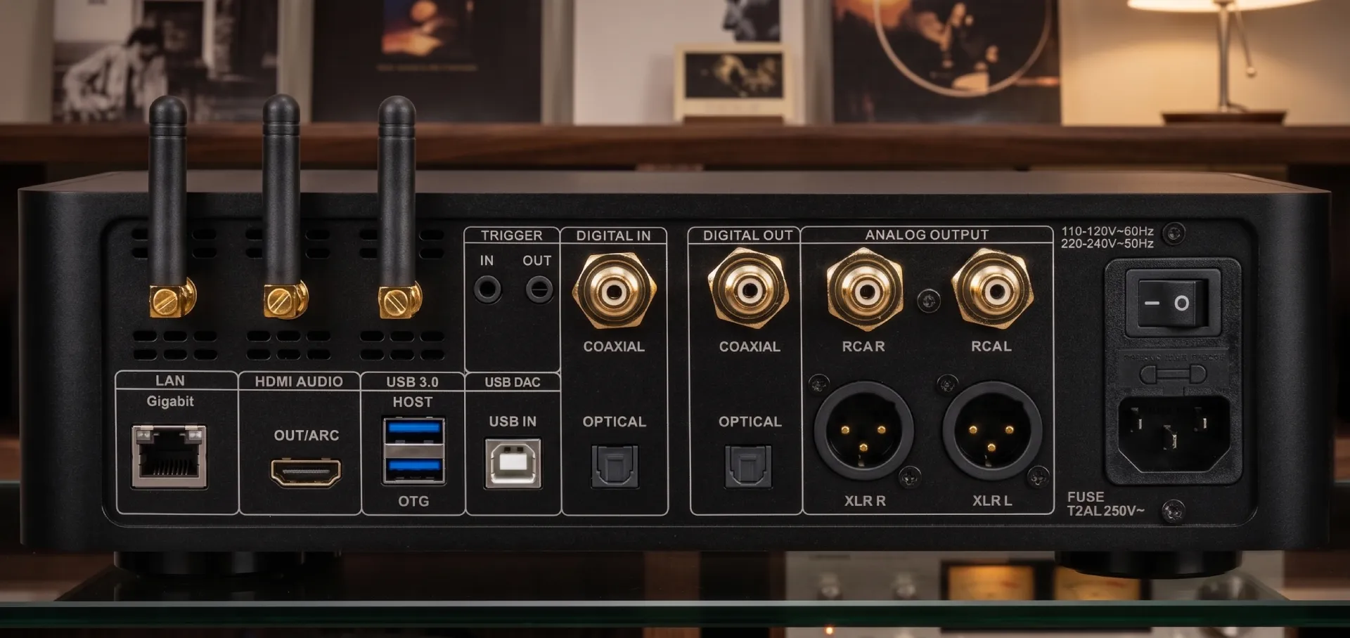 thiết kế mặt sau cảu DAC Streamer Dorpo DMP-A1 