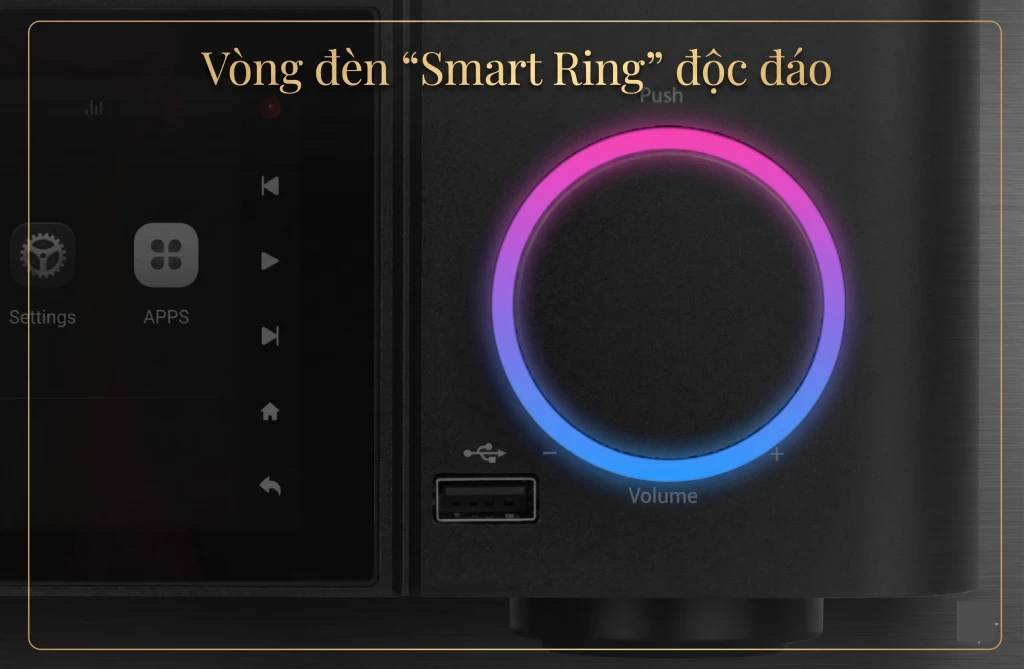 Núm vặn âm lượng của DMP-A1