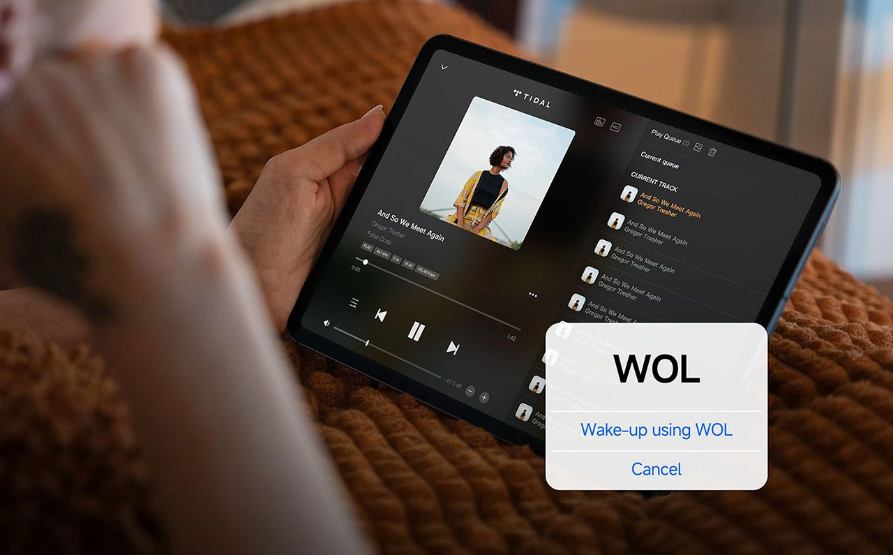 Eversolo Play CD Edition