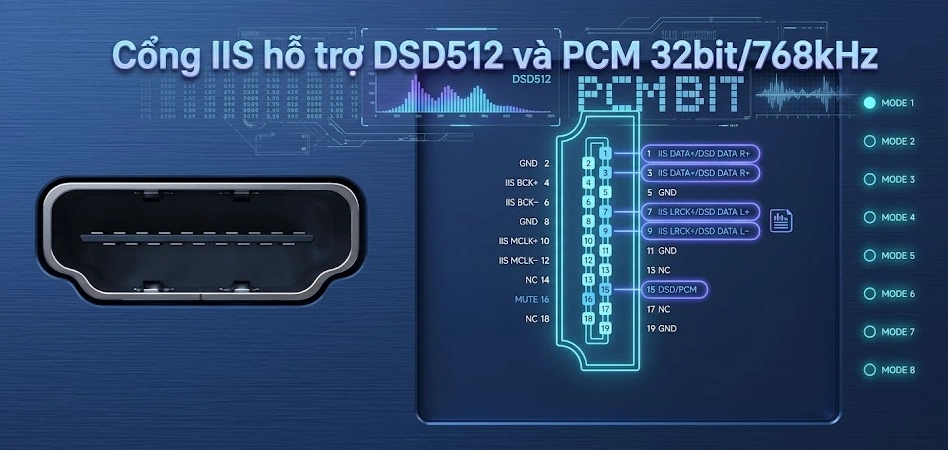 Cổng IIS trên Erversolo T10 hỗ trợ DSD512 và PCM 32bit/768kHz với 8 chế độ pin-out 