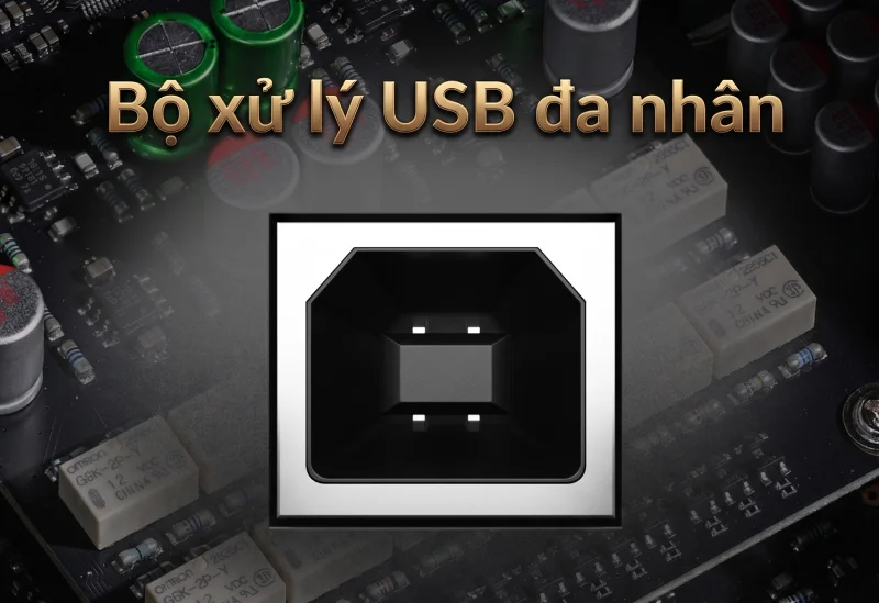 Ngõ vào USB Audio