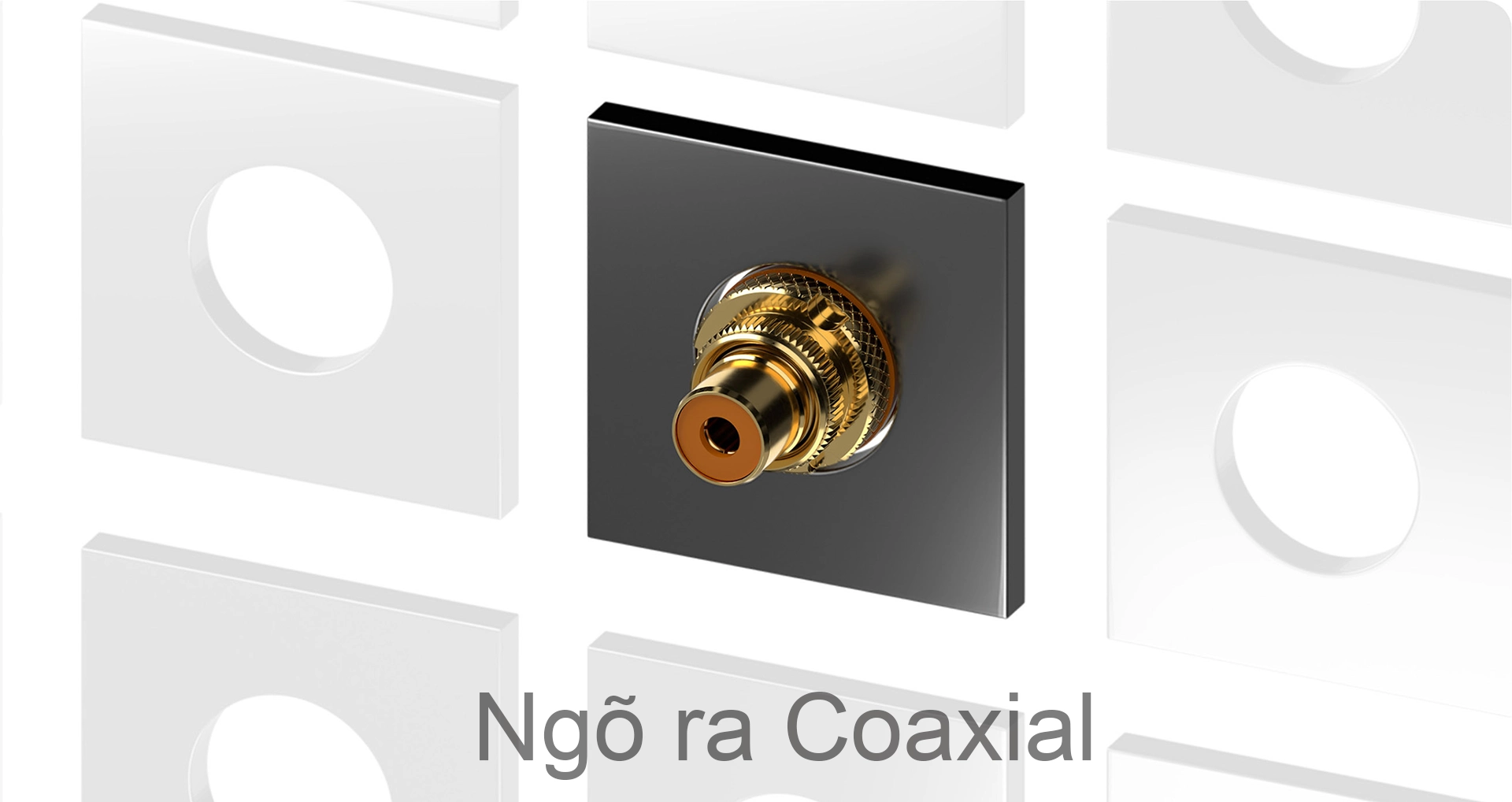 eversolo_t8_streaming_transport_chinh_hang_gia_tot_nhat_ha_noi_viet_nam