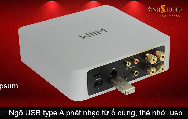 mua ổ cứng chép nhạc lossless cho WiiM AMP