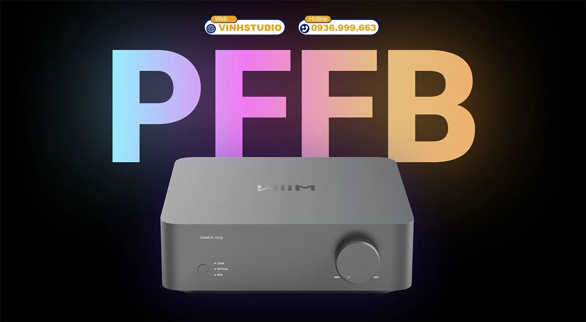 ampli tích hợp dac WiiM Vibelink Amp
