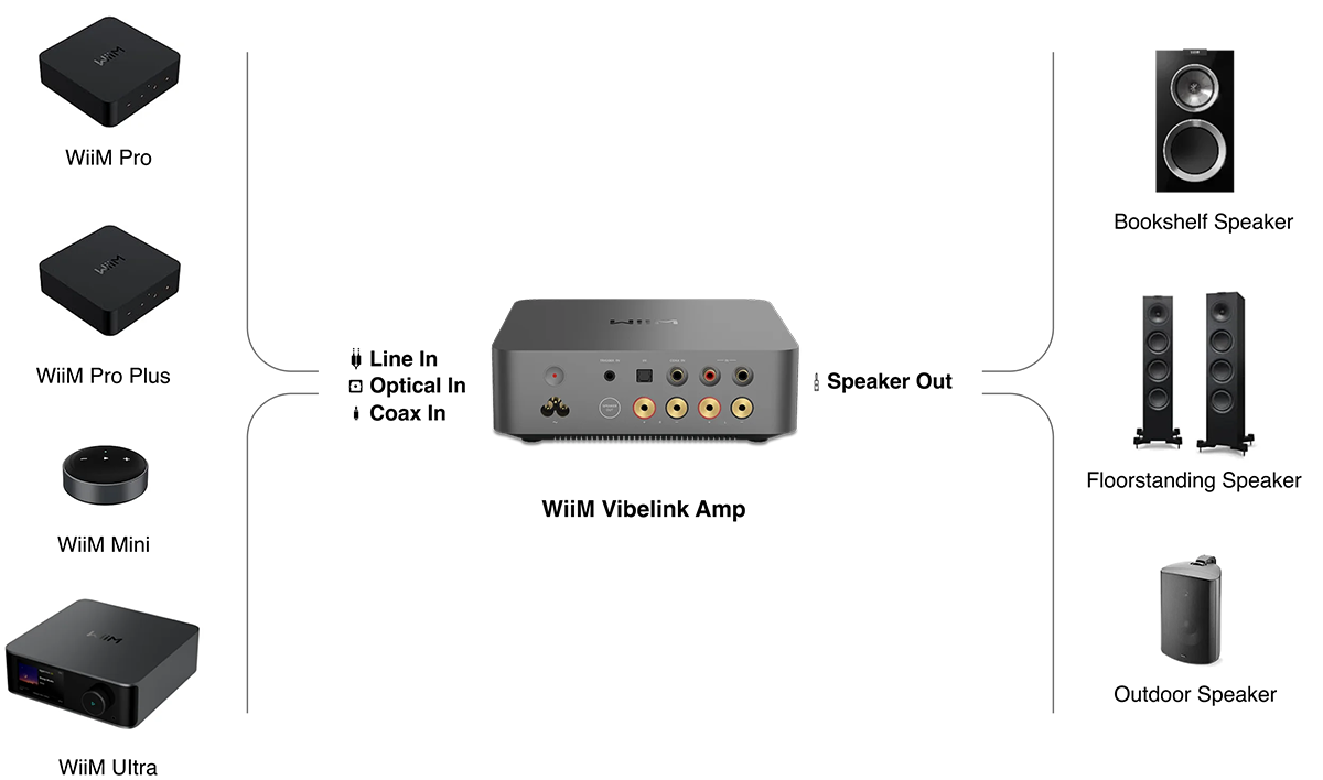 WiiM Vibelink Amp