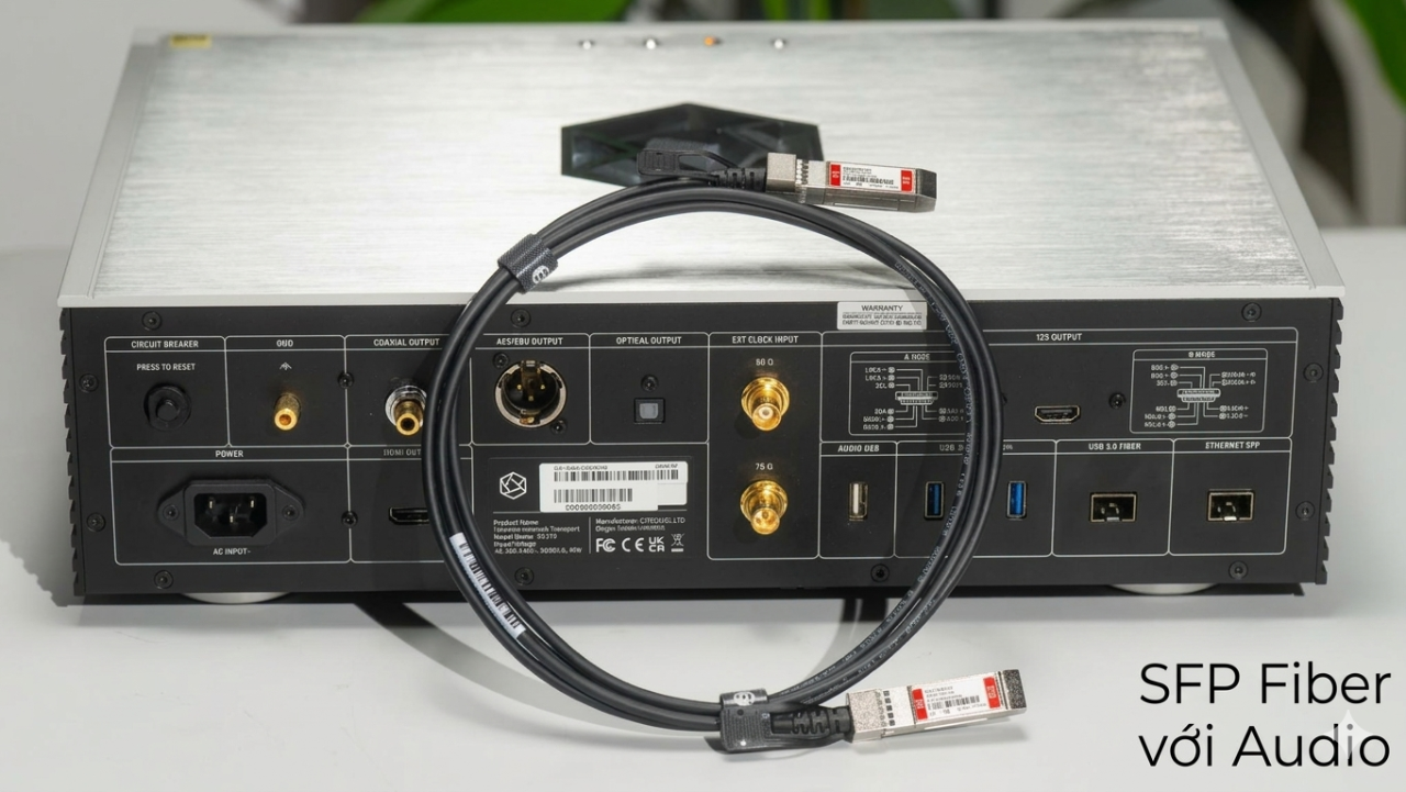 đầu phát nhạc số streamer tích hợp SFP Fiber 