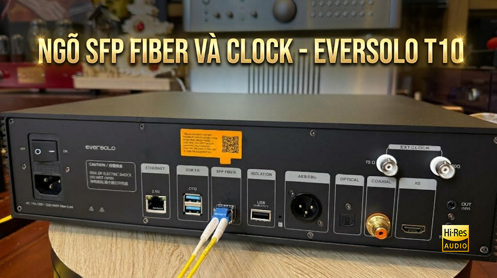 Mặt sau Streaming Transport Eversolo T10 với cổng External Clock 10MHz, SFP Fiber và LAN 2.5G