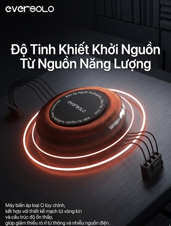 biến áp nguồn Eversolo T10 