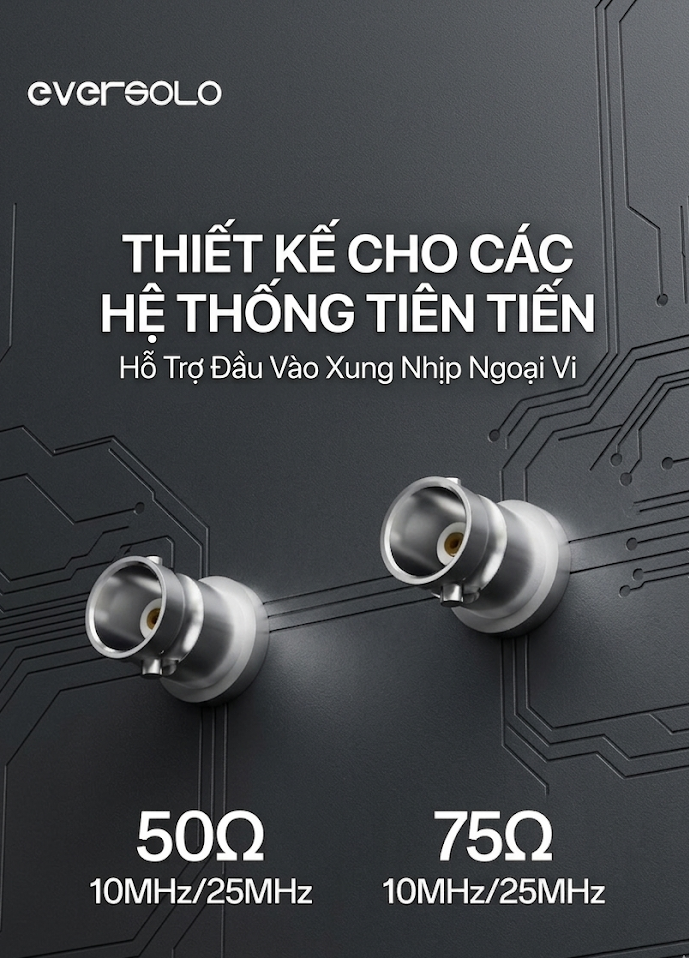 ngõ tín hiệu External CLock Eversolo T10 