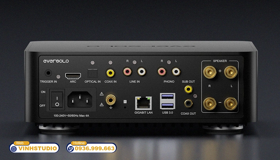 Eversolo Play CD Edition cổng kết nối