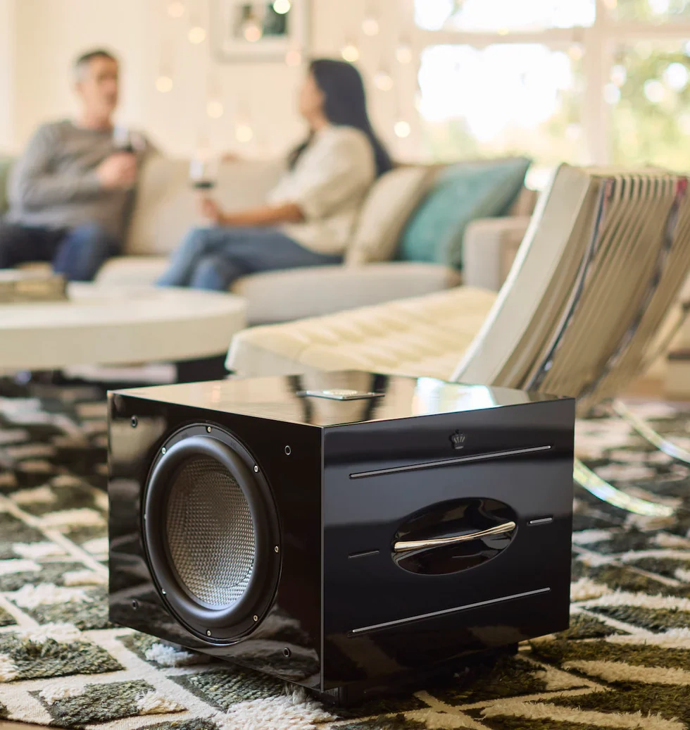 loa-sub-rel-carbon-special-chinh-hang-gia-tot-tại-vinhstudio-ha-noi