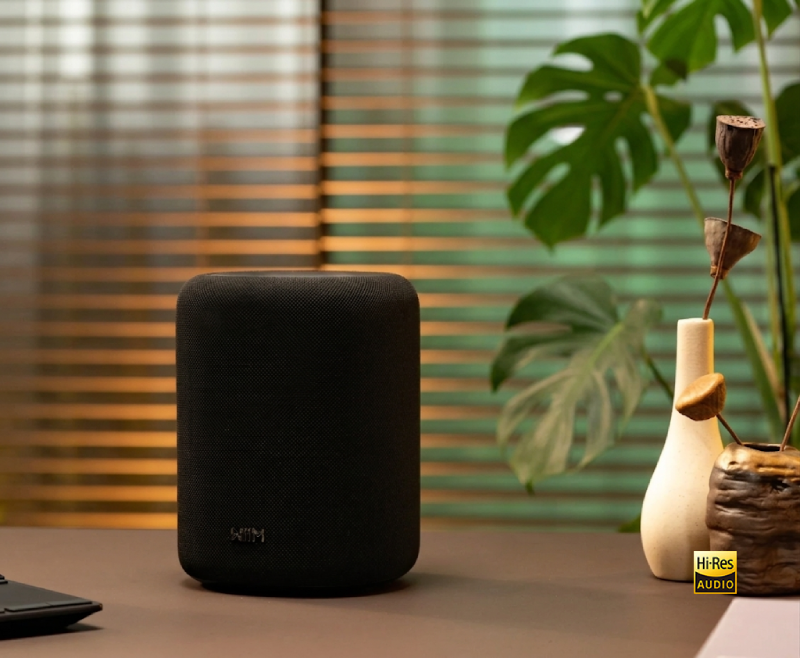 WiiM Sound Lite