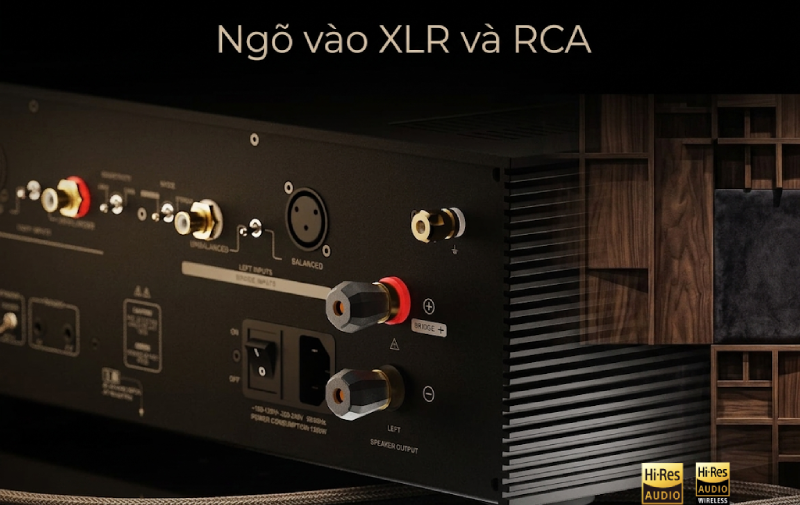 ngõ vào XLR cân bằng và một ngõ vào RCA trên AMP-F8 của Eversolo