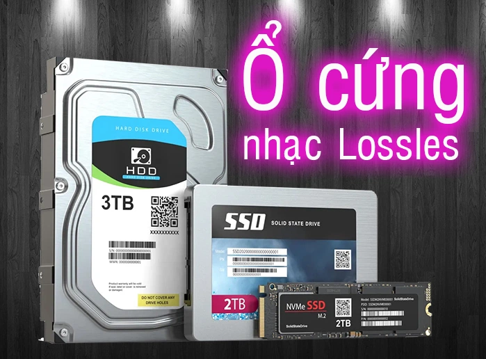 gắn ổ cứng nhạc lossless vào music streamer 