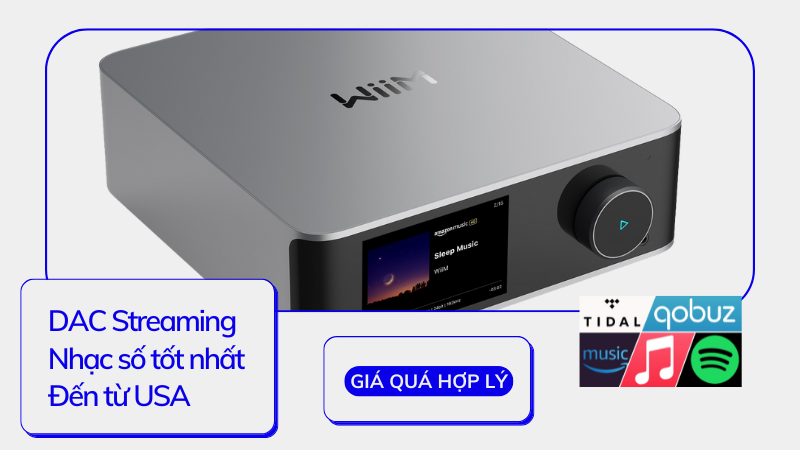 DAC Streamer WiiM Ultra 